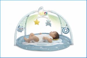 Gioco fd enjoy colors playgym blue | Chicco